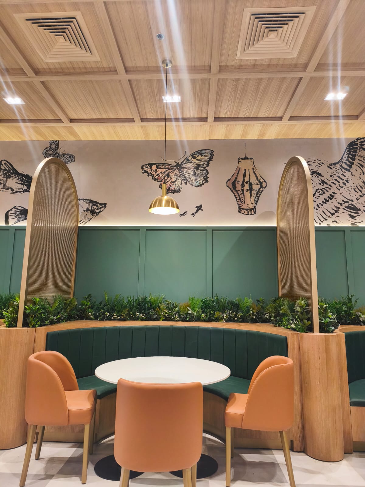 WhatsApp-Image-2026-01-05-at-10.27.15-PM